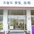 오늘도꽃빛;로하