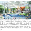 아트펫 갤러리 이미지