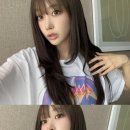 딥브라운 네이버블로그
