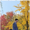 시민행정사사무소 이미지