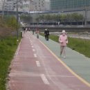 고매천 2 네이버블로그