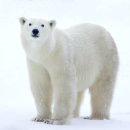 은한의원 이미지