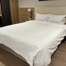 호텔더브라운 이미지