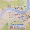 금산읍사무소 | [충남 금산군] 월영산 출렁다리 여행 후기