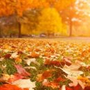 힐스테이트 초전 이미지