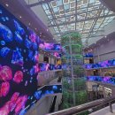 탑 셀 바이오 뱅크 | 서천 가볼만한곳 씨큐리움 입장료 와 관람꿀팁 아이와 함께 떠나는 충남 여행 코스