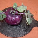 용흥농장 이미지