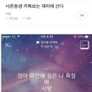 반짝이는하루 이미지