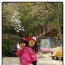 용포약수터 이미지