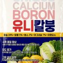 유니농장 네이버블로그
