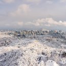 1/14(수) 겨울 적응 훈련 용마산~아차산 이미지