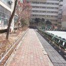 서해공인중개사사무소 이미지