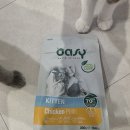 키튼코리아 | 오아지 라이프스테이지 키튼 치킨 체험단 후기