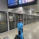 여수여행_여수시티파크_야간라운딩