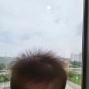 오산시립미술관 화장실 이미지