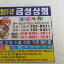 금성상회 이미지