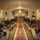 패션월드 이미지