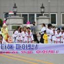 한국태권도장 티스토리