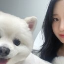 러블리댕 이미지