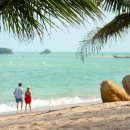 아시아 최고의 휴양지".아름다운 해변이 펼쳐진 태국 코사무이 이미지