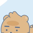 버블버블 이미지