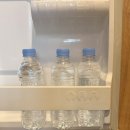 호텔 헤이(HEY) | 제주) 🐶 서귀포 애견동반 숙소 추천｜가성비 좋은 헤이 서귀포 솔직 후기