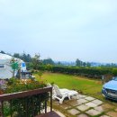 애월 밤별 이미지