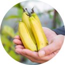 윤주농장 이미지