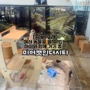 [미어캣인더시티] 김포 구래동 놀거리 다양한 동물들과 함께 교감할 수 있는 고양이카페