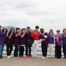 2025 마산 가고파 국화축제 이미지