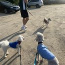 시루봉2농장 이미지