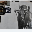 새미끌집 이미지