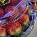 기화농장 이미지