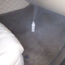 오렌지손세차 이미지