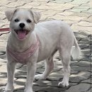파크드