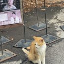 넌 내게 특별하고