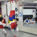 KOREA인성태권도장 이미지