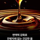 365효한의원 이미지