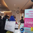 더존프롤로의원 이미지