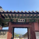 [궁중문화축전] 경복궁 생과방 후기, 티켓팅 팁, 메뉴 추천, 명당자리