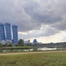 써니김밥 이미지