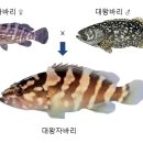 성화낚시터 이미지
