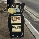 탄광맥주청수점 | 천안 청수동 붕어빵 맛집! 슈크림, 피자, 통모짜치즈 붕어빵 후기