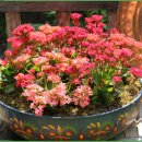 샘물카페 이미지