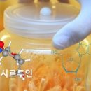 솔코바이오
