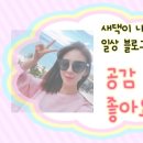 칠남이네한우양념곱창 이미지