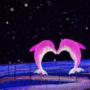 오색쌈밥 이미지