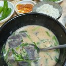 연일돼지국밥 이미지