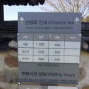 목면시배유지 티스토리