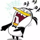 서울참새 이미지